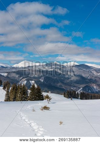 Picturesque Winter Mountain View From Alpine Path With Footprint. Skupova Mountain Slope, Ukraine, V