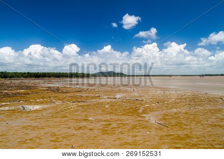 Cayenne River Mouth During The Low Tide, French Guiana
