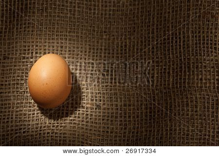 Kananmuna ruskea potkut