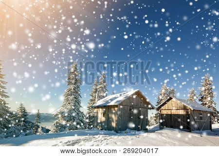 Fairy Tale Winter Sunny Landscape. Two Weathered Wooden Shepherd Huts On Mountain Snowy Clearing Amo