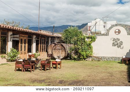 Cafayate, Argentina - Aug 6, 2015: Garden Of Winery Bodega Nanni In Cafayate