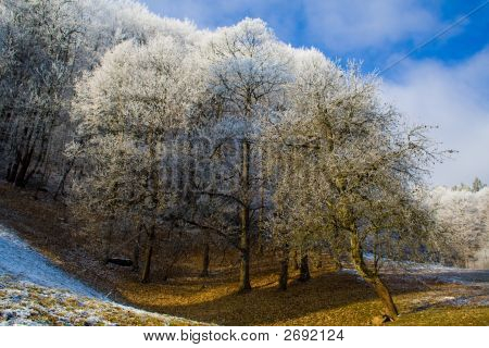 หนาว