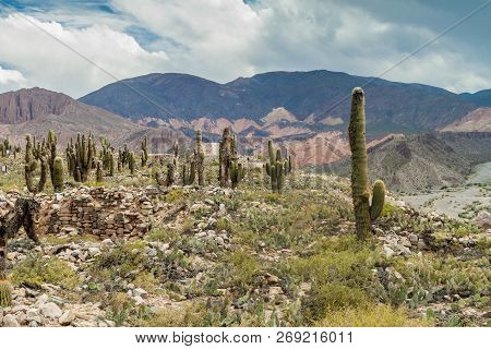 Ruins Of Pre-columbian Fortification Pucara Near Tilcara Village In Quebrada De Humahuaca Valley, Ar