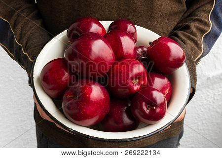 Metal Bowl With Fresh Red Apples In Male Hands, Autumn Or Summer Garden Apples