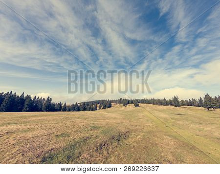 Spectacular Autumn Landscape With Meadow Surrounded By Pine Tree Forest.