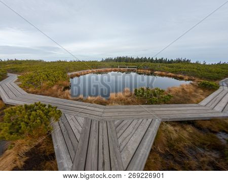 Wooden Boardwalk Crossing Marshes Surrounded With Bushes.
