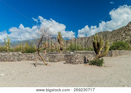 Ruins Of Ancient Pre-inca Town Quilmes, Argentina