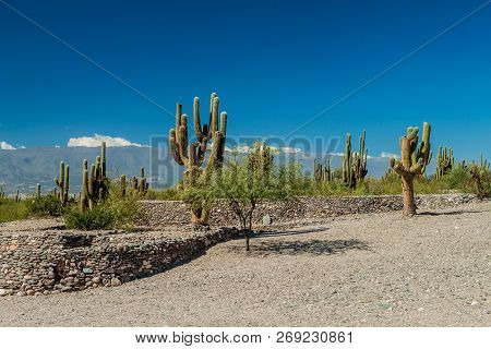 Ruins Of Ancient Pre-inca Town Quilmes, Argentina