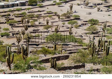 Ruins Of Ancient Pre-inca Town Quilmes, Argentina