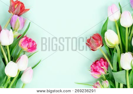 Bouquet Of Fresh Tulips Flowers Frame On Pastel Green Ment Background