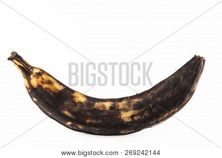 Very Ripe Plantain Or Green Banana (musa X Paradisiaca)  Isolated In White Background
