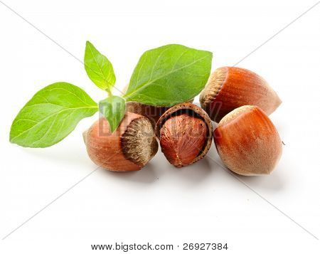 hazel nuts with leaves on the white background