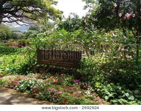 Queen_Garden