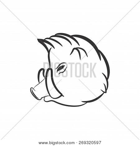 Angry Aper Head Isolated On White Background. Boar With Fangs Face Vector For Your Design.