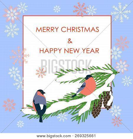 Typography Banner Red Merry Christmas And Happy New Year, Bulfinch On Fir Tree On White, Blue Frame,