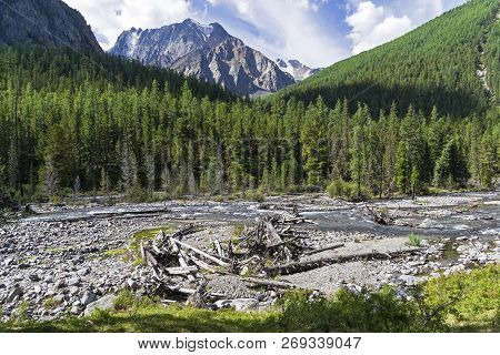 Altai Mountains. The Shawla River Above The Estuary Of The Yeshtykol River. August. Siberia, Russia.