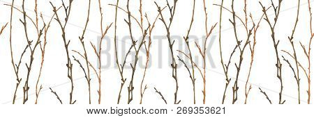 Winter Forest Watercolor Seamless Pattern With Branches