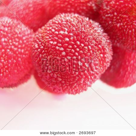 Bayberry fresco