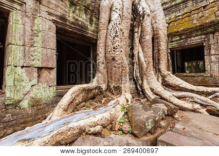 Ta Prohm Or Prasat Taprohm Is The Temple At Angkor In Siem Reap In Cambodia