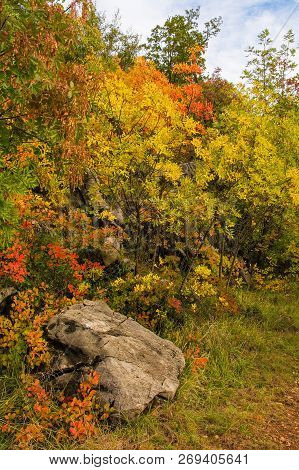 Autumn Colours On Display In The Carso Karst Limestone Area Of Friuli, Near Doberdo In North East It