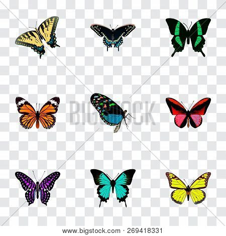 Set Of Moth Realistic Symbols With Yello-wing, Danaus Plexippus, Tiger Swallowtail And Other Icons F