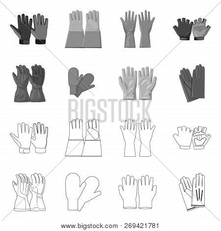 Vector Illustration Of Glove And Winter Icon. Collection Of Glove And Equipment Stock Vector Illustr