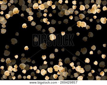 Gold Seashells Vector, Golden Pearl Bivalved Mollusks. Cute Scallop, Bivalve Pearl Shell, Marine Mol