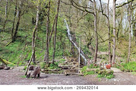 Mountain Stream And Waterfall In The Spring Green Forest