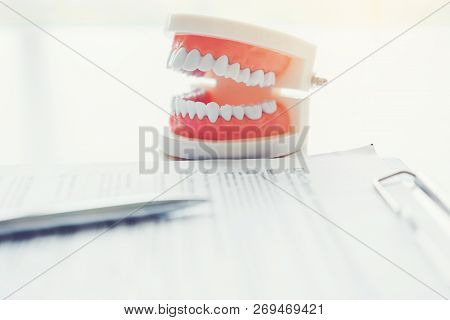 Dentist Learning How To Brush Teeth