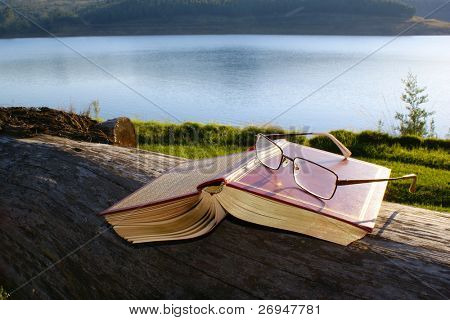 Lectura en lakeside