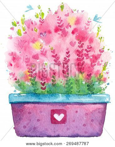 Watercolor Flowers Heather Pot Plant Isolate Gift