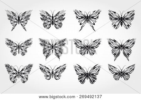 Vector Set Of Black Butterflies On White Bsckground.