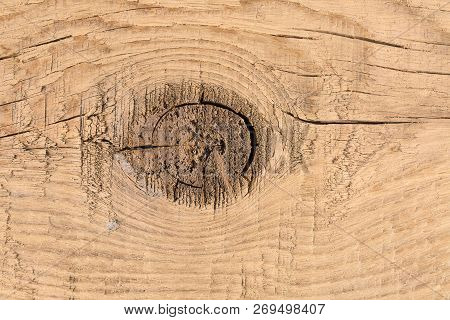 Wood Texture. Background Of Wooden Board With Knag, Close Up