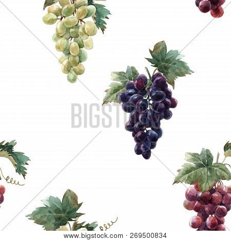 Beautiful Vector Seamless Pattern With Hand Drawn Watercolor Grapes
