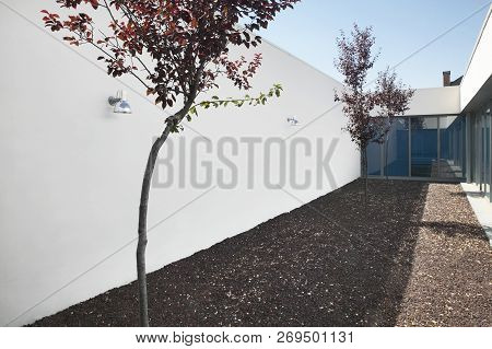 Modern Arquitecture Indoor Minimalist Style Garden With Trees. Horizontal