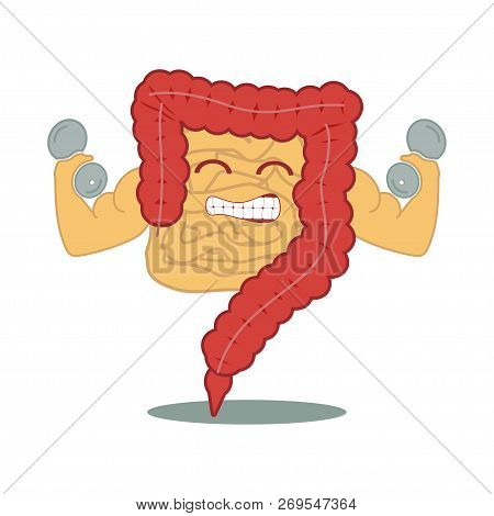 Strong Power Intestines With Dumbbell. Human Gastrointestinal Tract. Digestive System