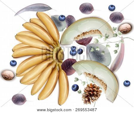 Bananas, Melon And Blueberries Vector Watercolor. Exotic Delicious Fruits Background Template. Winte
