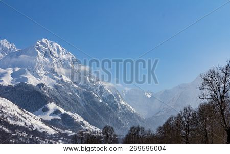 Near Balnea Spa In The French Pyrenees, A Snow Covered Peak Rises Above The Surrounding Trees