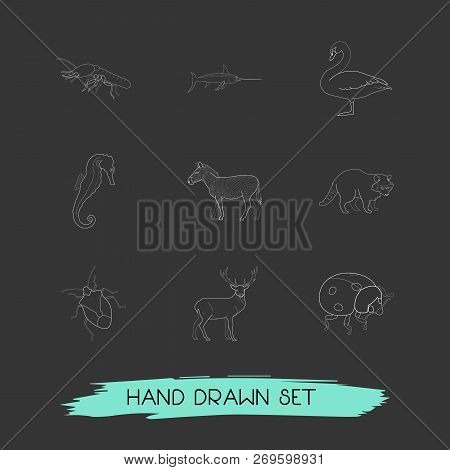 Set Of Zoo Icons Line Style Symbols With Swan, Bug, Thermit And Other Icons For Your Web Mobile App 