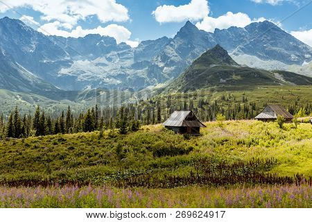 Summer View To Hala Gasienicowa In Valley, Tatra Mountains Zakopane Poland
