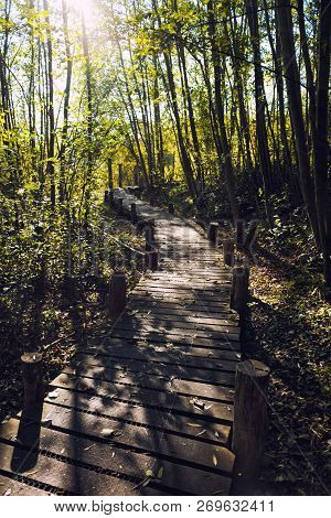 Walking Trail In The Nature Reserve Haff Reimech