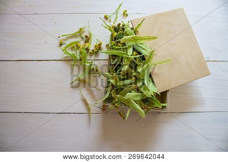 Tea. Green Tea. Herbal Tea. Mint Leaf. Tea With Apple Flavor. Tea In A Glass Cup With Apple Blossoms