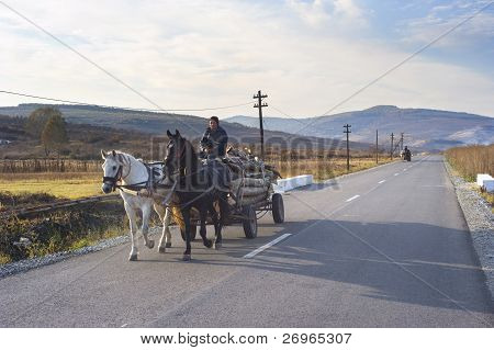 Hest vogn