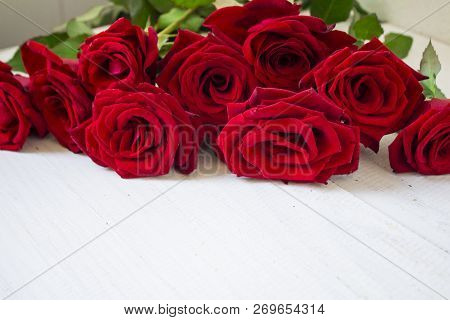 Flower In Garden At Sunny Summer Or Spring Day. Flower For Postcard Beauty Decoration And Agricultur