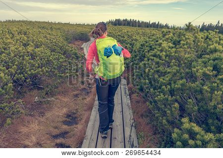 Female Hiker Dancing On Wooden Boardwalk Simply Enjoying The Nature.