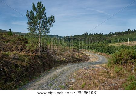 Panoramic Landscape Along The Camino De Santiago Trail Between Lugo And Melide, Galicia, Spain