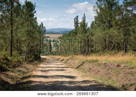Panoramic Landscape Along The Camino De Santiago Trail Between Lugo And Melide, Galicia, Spain