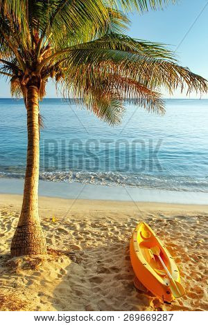 Sea Kayak On The Beach Near Palm Tree, Nacula Island, Yasawas, Fiji