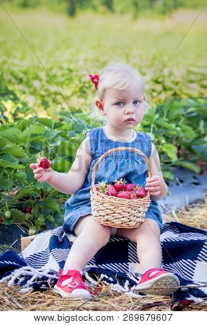 Little girl eating strawberries on strawberry field