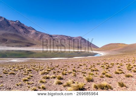 Lagunas Altiplanicas, Miscanti Y Miniques, Amazing View At Atacama Desert. Chile, South America.